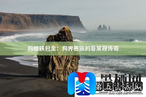 四眼铁包金：狗界贵族的非常规传奇